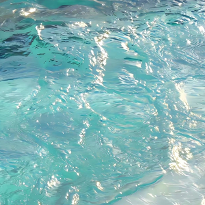 小心🐤入🍑🍑视频日本
