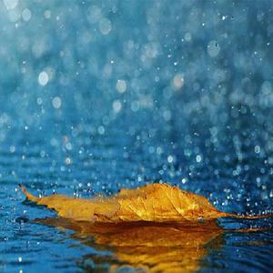 小心🐤入🍑🍑视频日本
